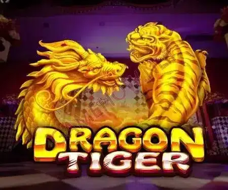 Dragon Tiger Game Guide – Rules and Bets