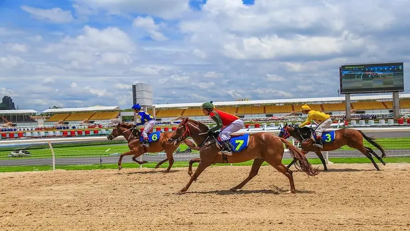 Pocket 4 experiences to help create an effective way to bet on horse racing